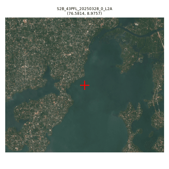 squarely in open lagoon/backwater water, no exposed sediment visible