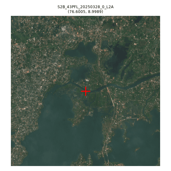 dense vegetated settlement / mixed backwater edge, no exposed sediment visible